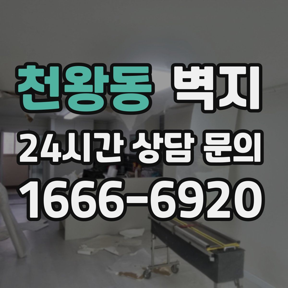 천왕동 벽지