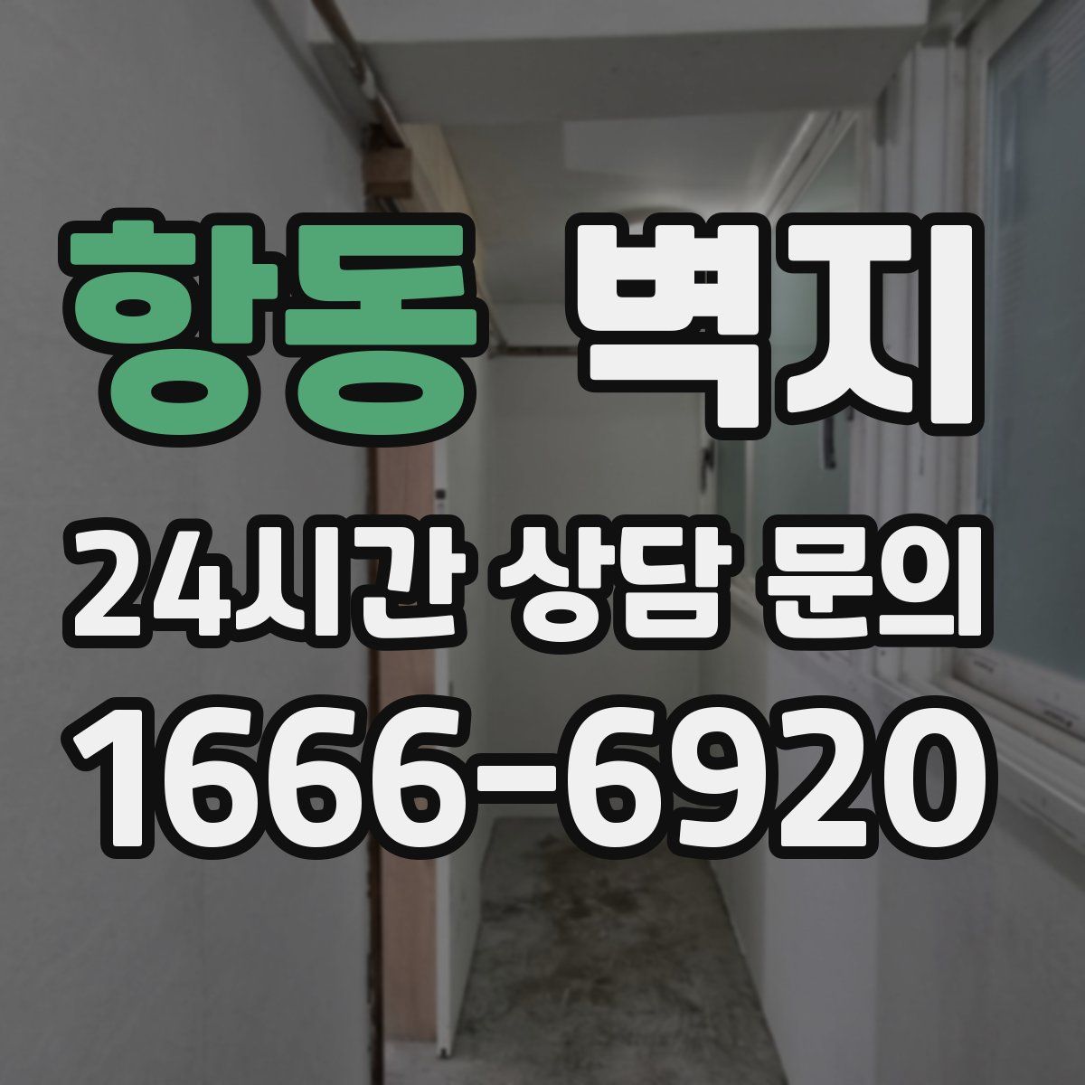 항동 벽지