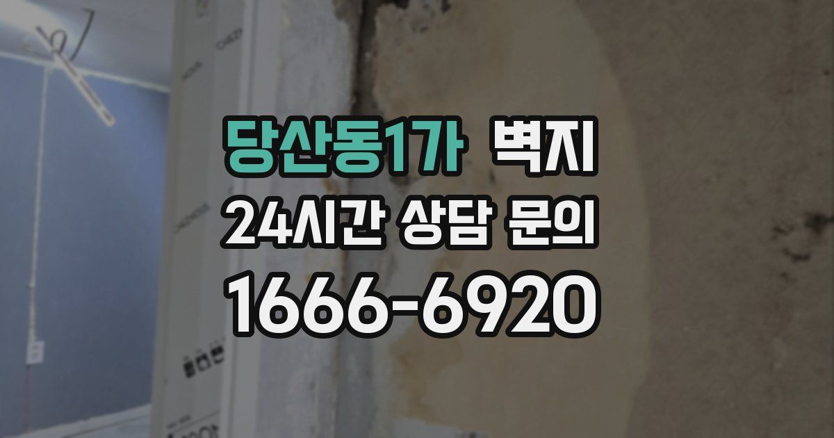 당산동1가 벽지