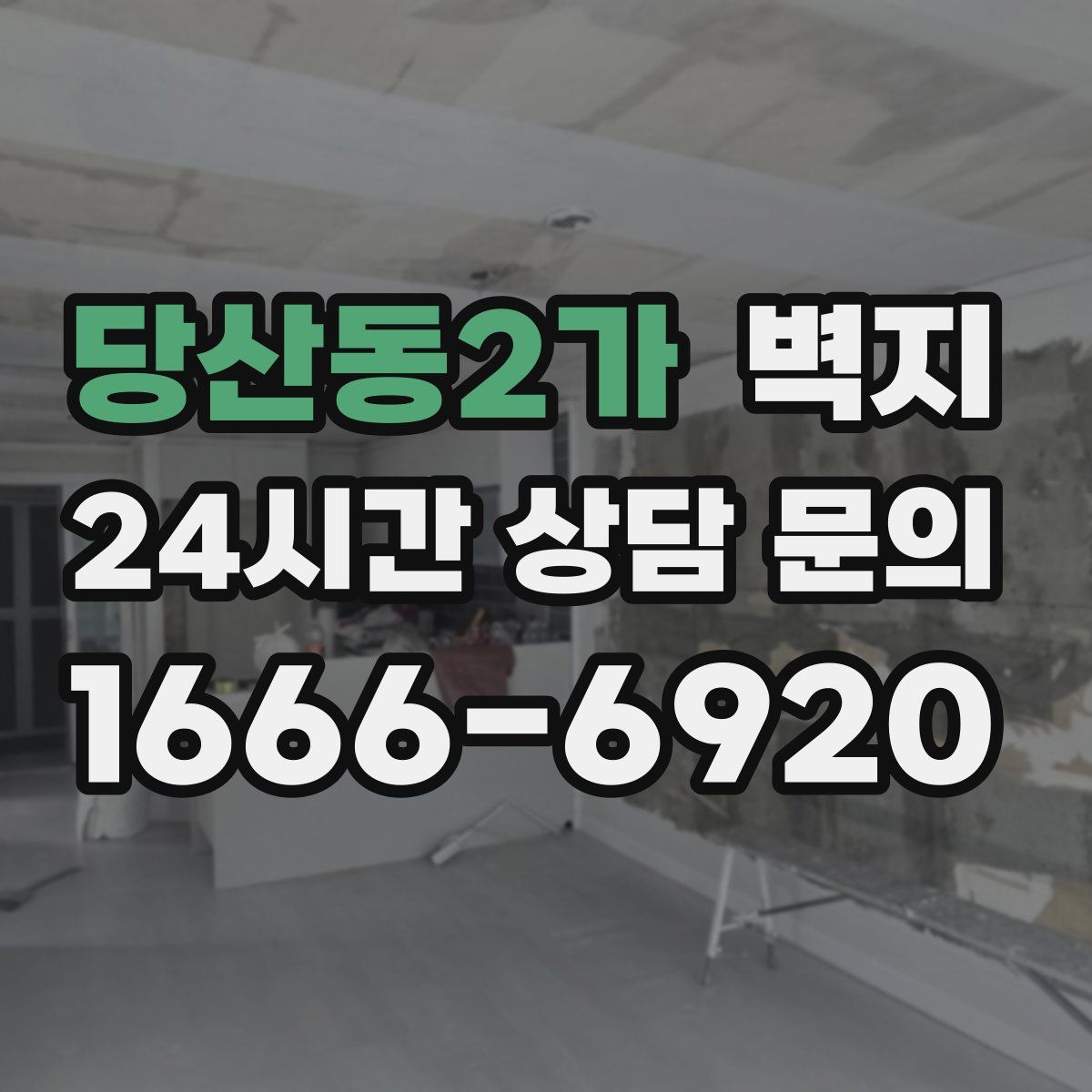 당산동2가 벽지