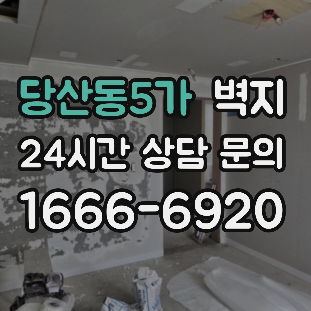 당산동5가 벽지