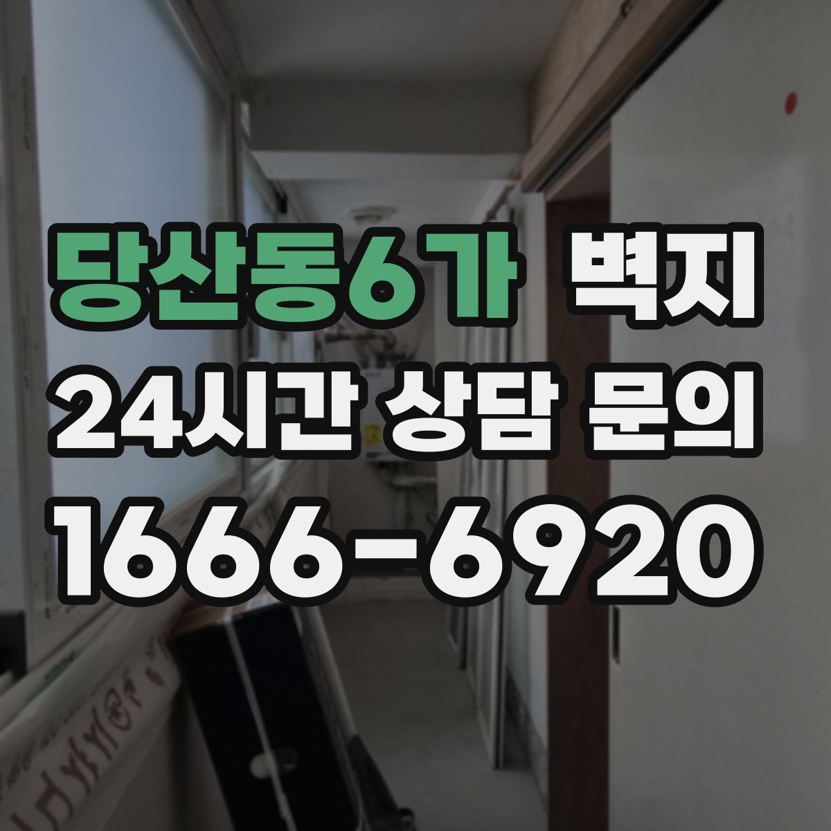 당산동6가 벽지
