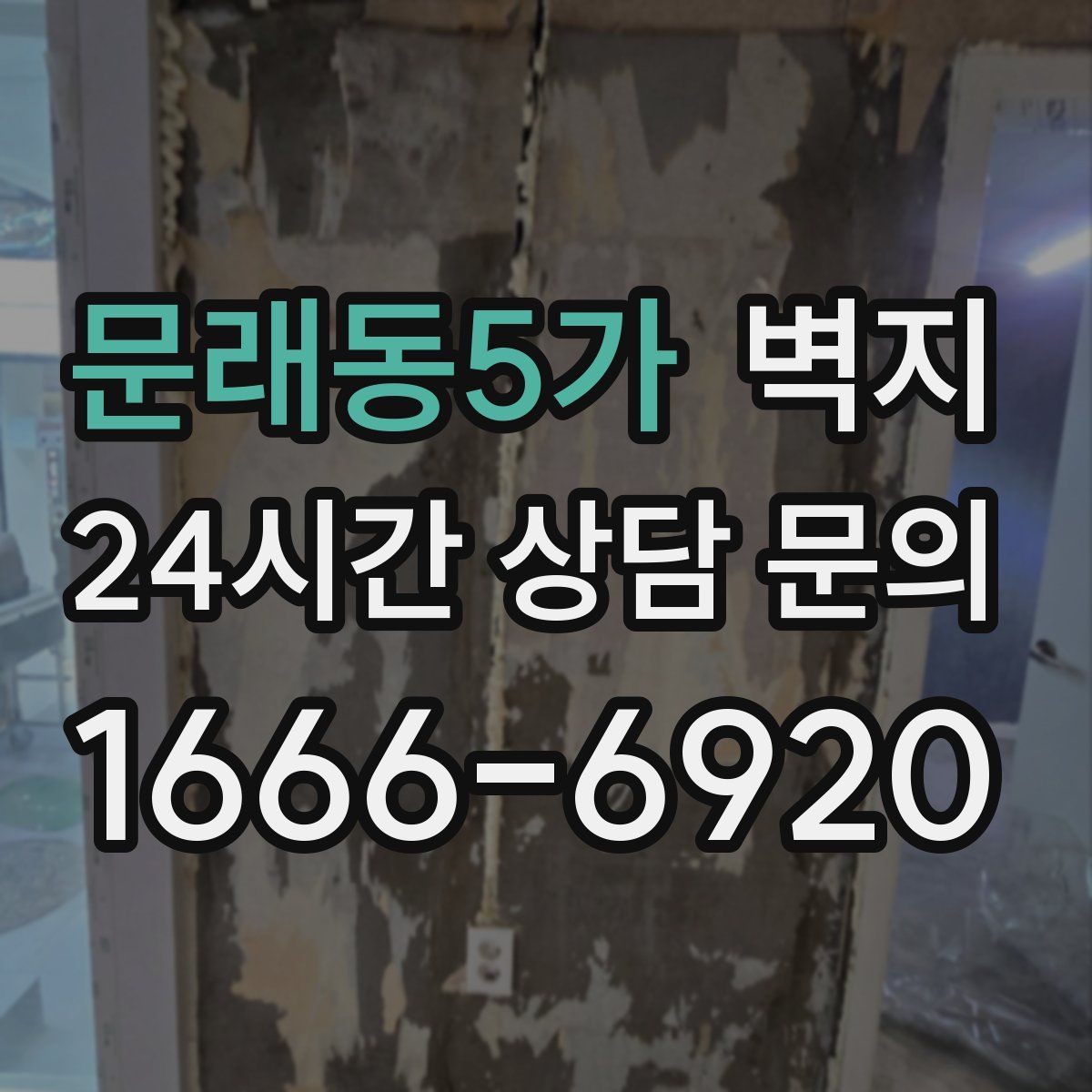 문래동5가 벽지