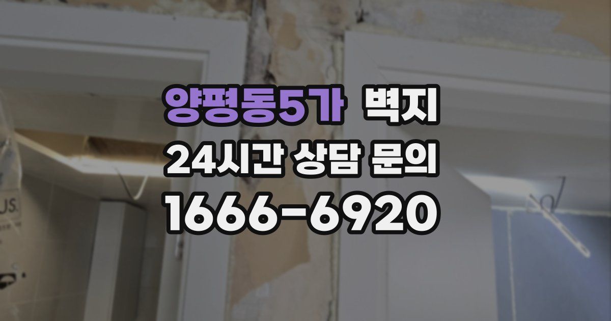 양평동5가 벽지
