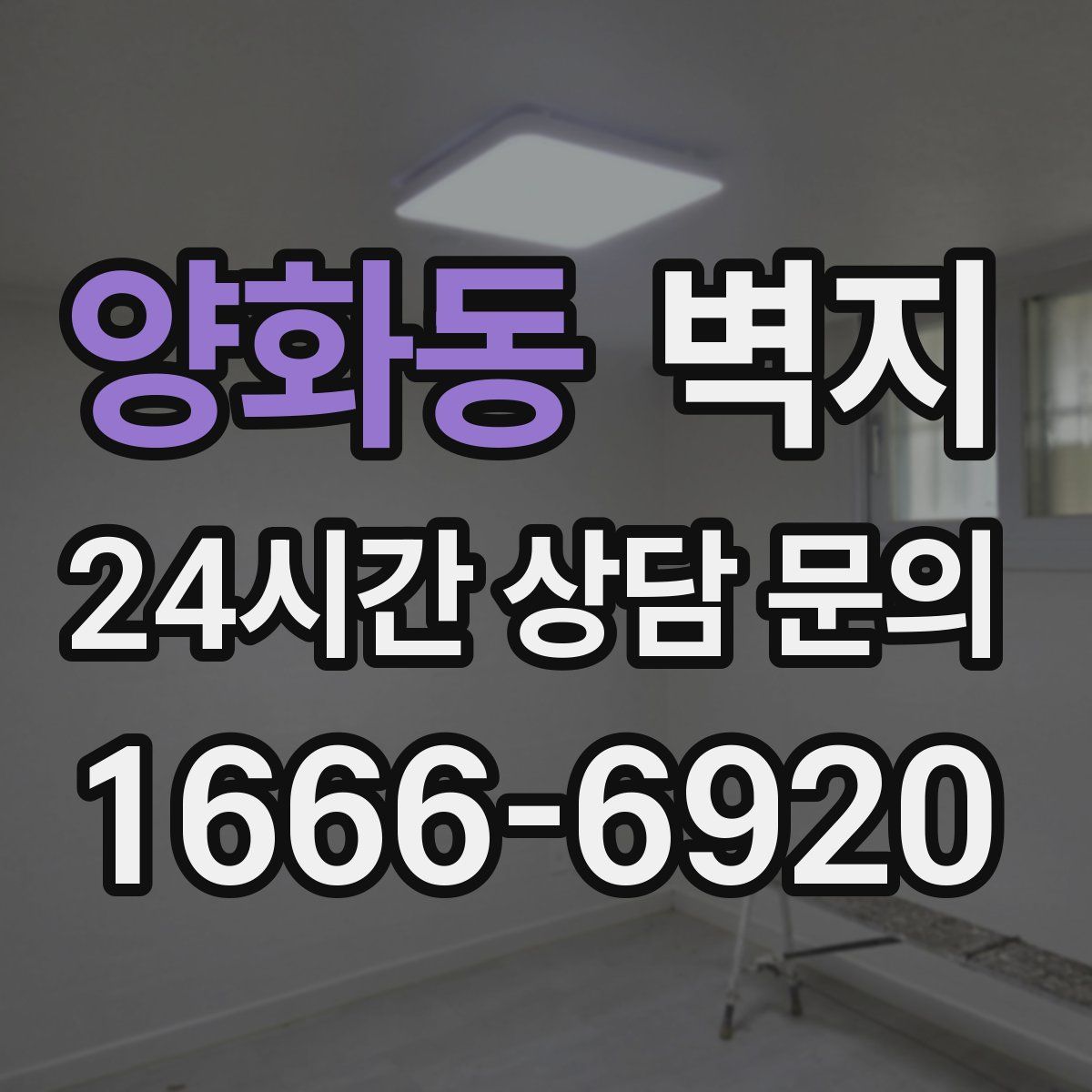 양화동 벽지