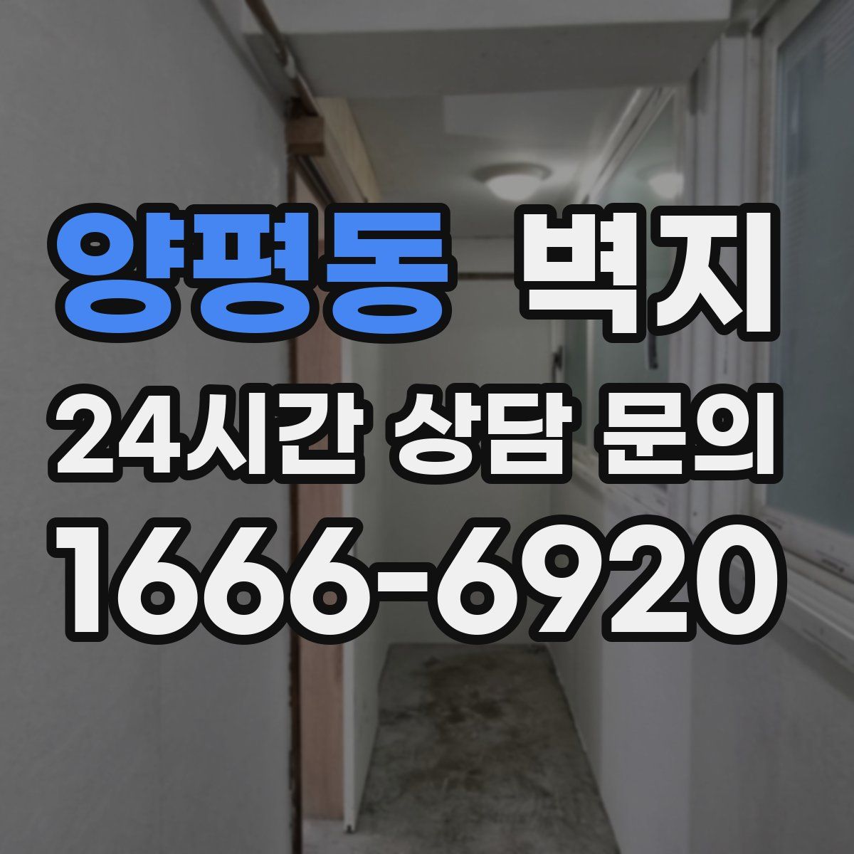 양평동 벽지