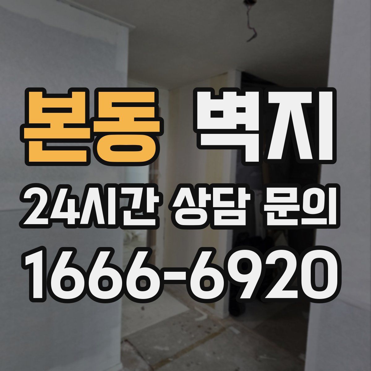 본동 벽지
