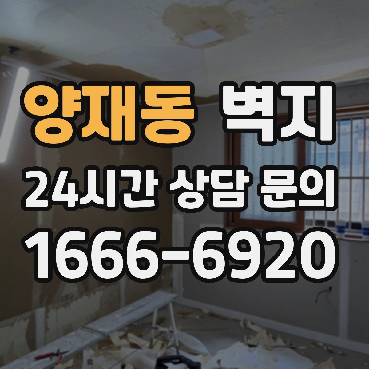 양재동 벽지