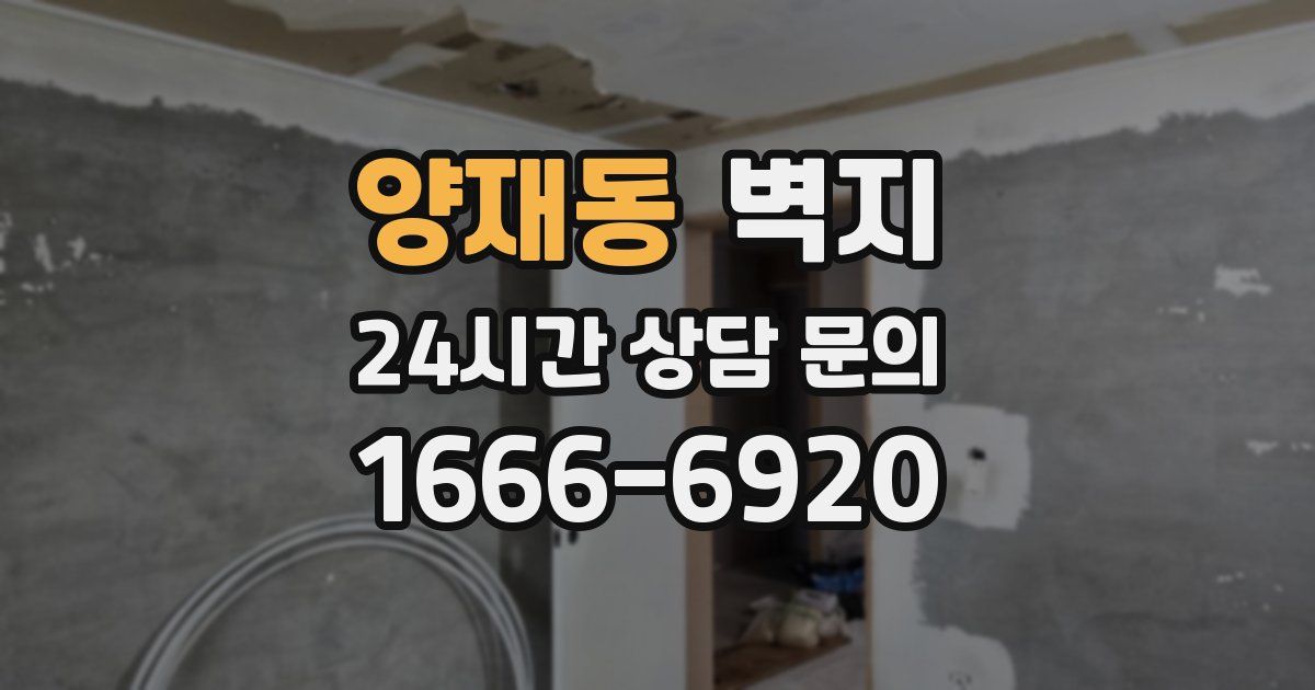 양재동 벽지