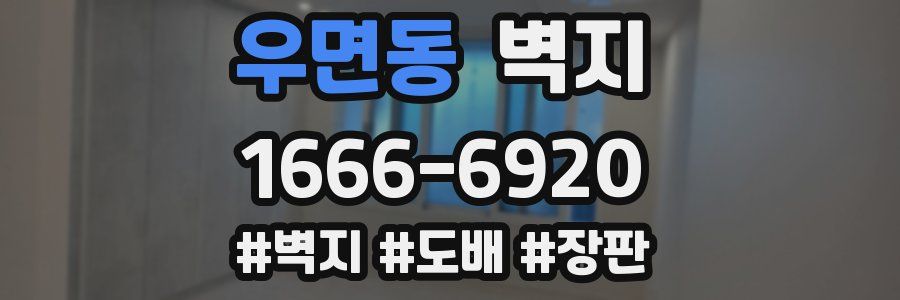 우면동 벽지