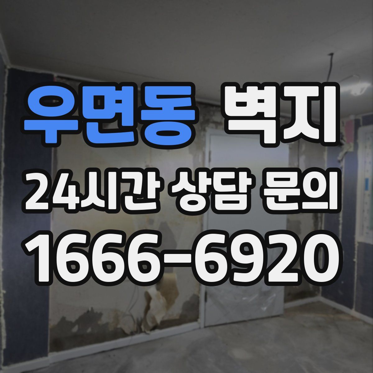 우면동 벽지