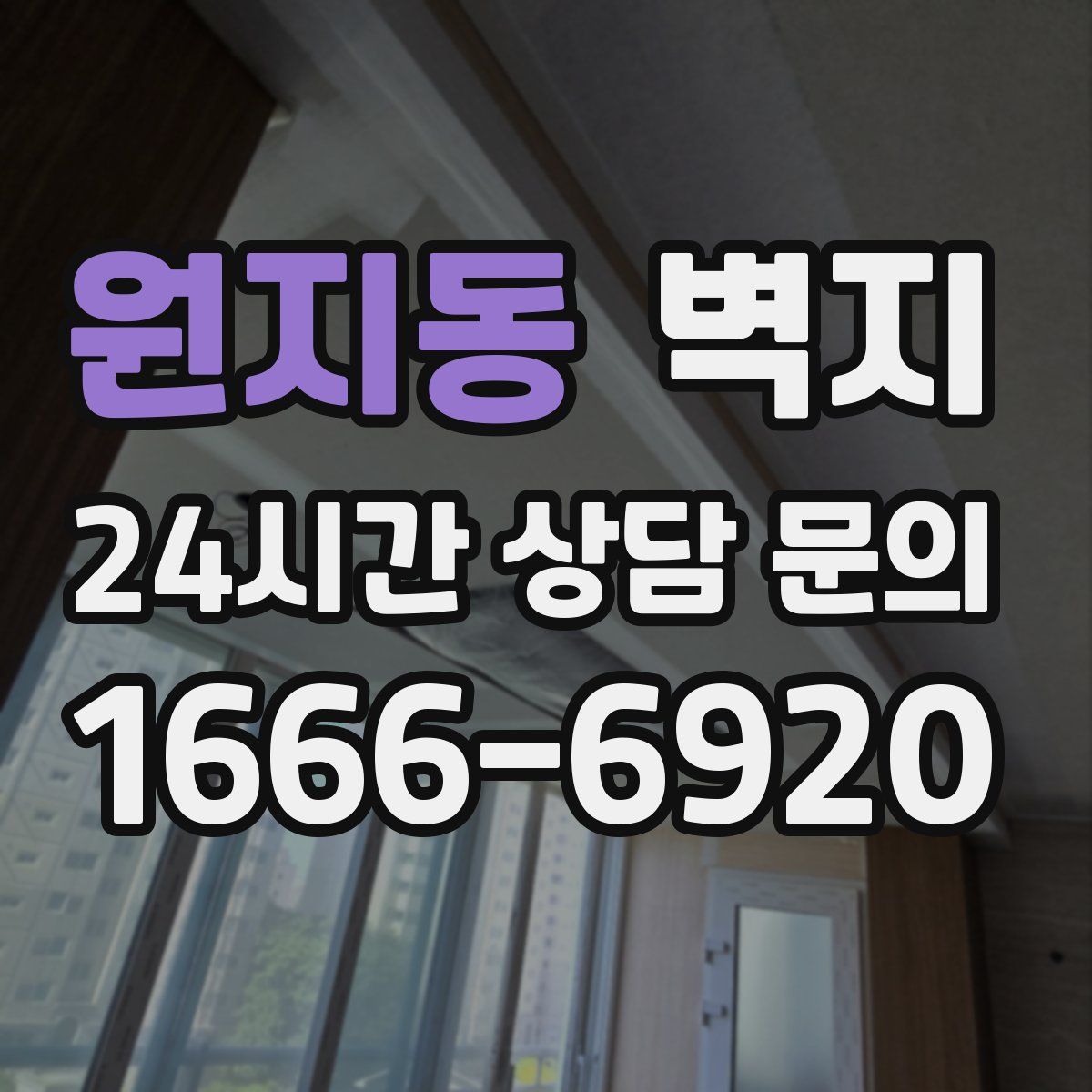 원지동 벽지