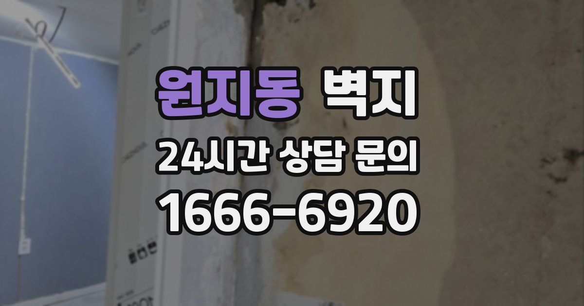 원지동 벽지