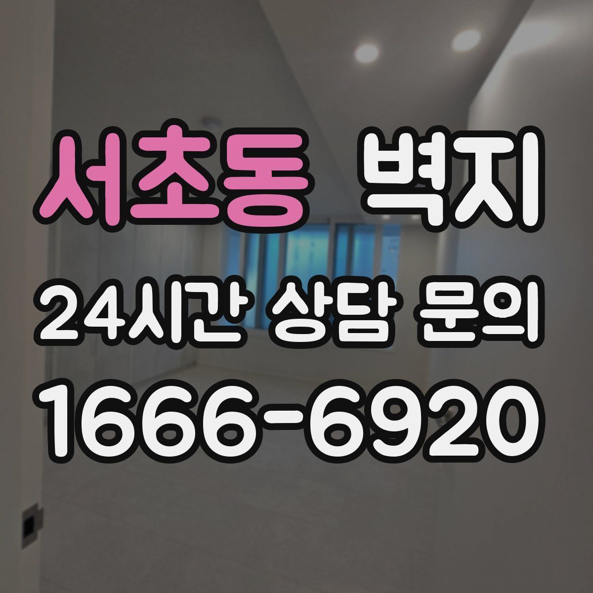 서초동 벽지