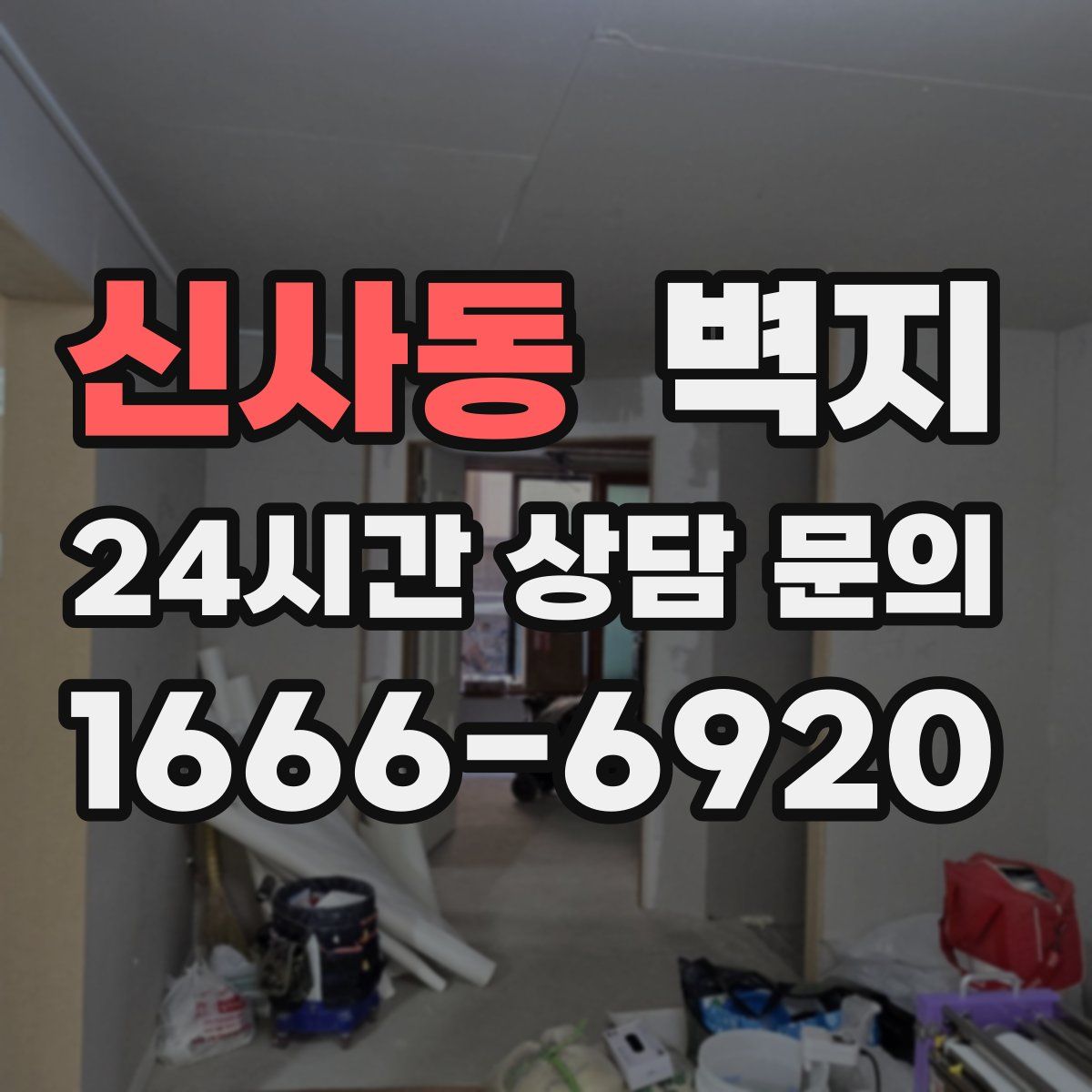 신사동 벽지
