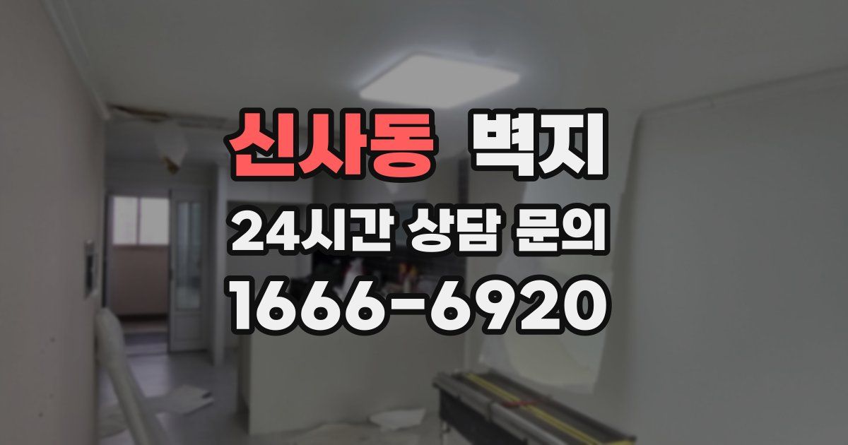 신사동 벽지