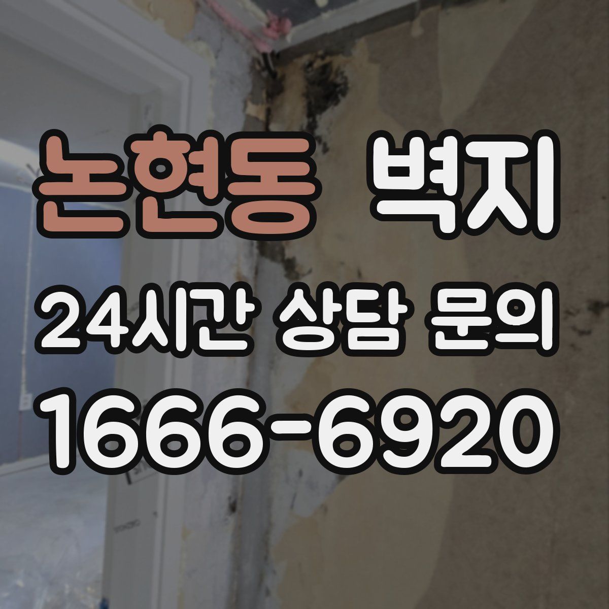 논현동 벽지