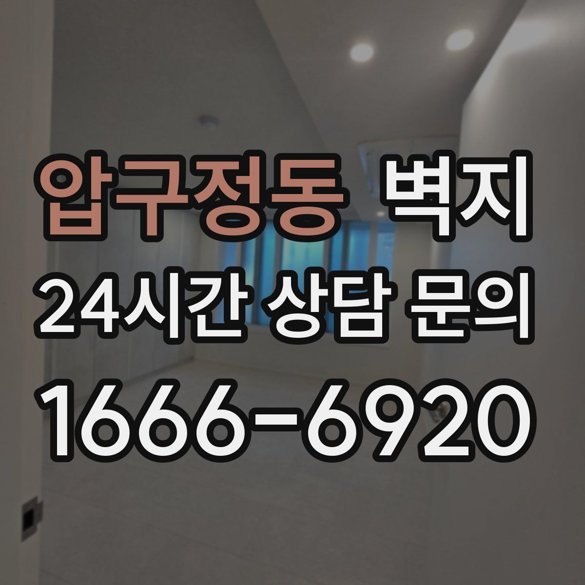 압구정동 벽지