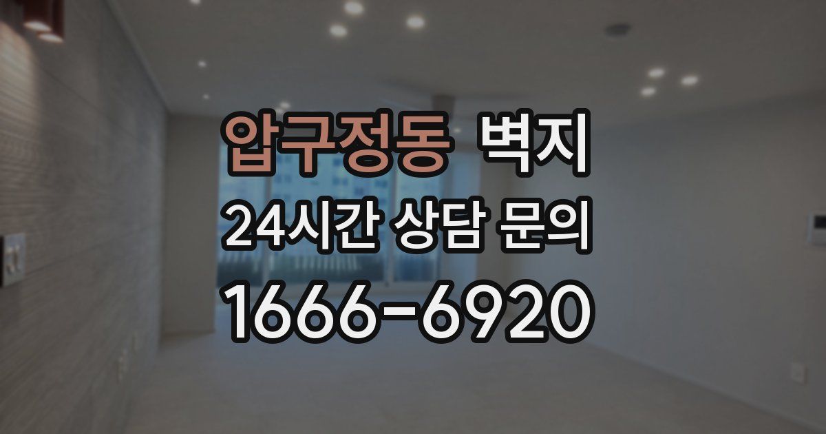 압구정동 벽지