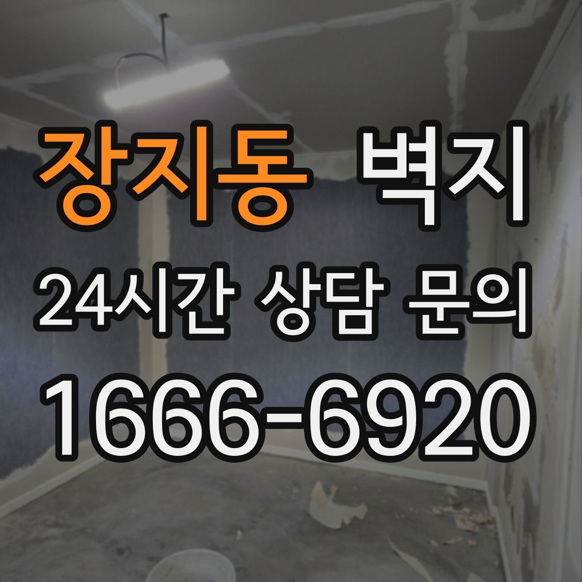 장지동 벽지