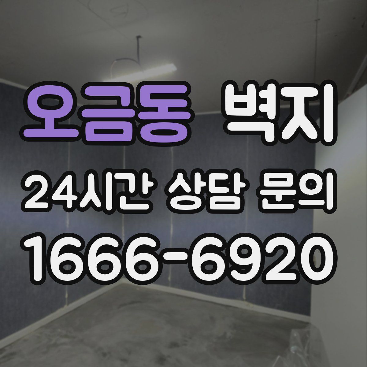 오금동 벽지
