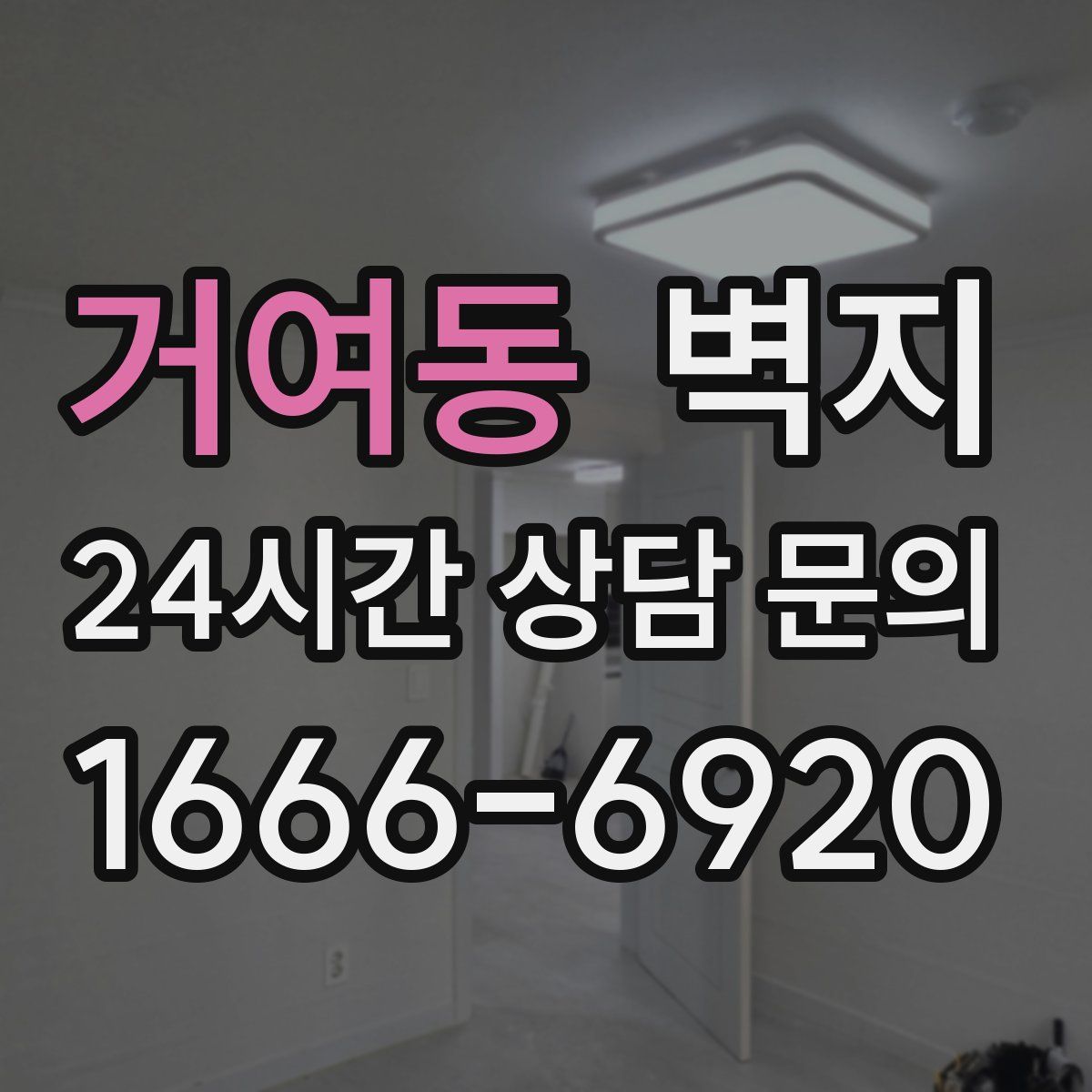 거여동 벽지