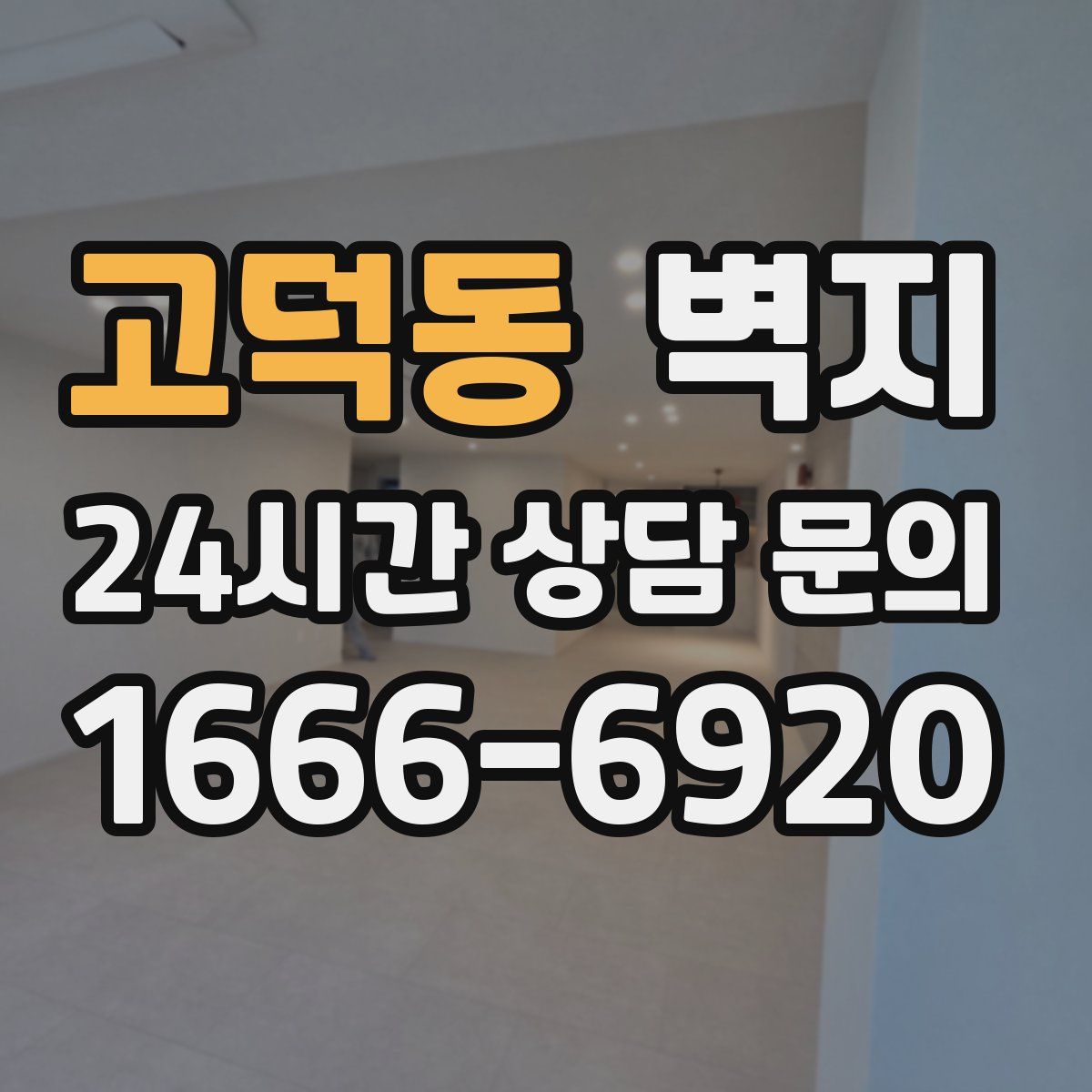 고덕동 벽지