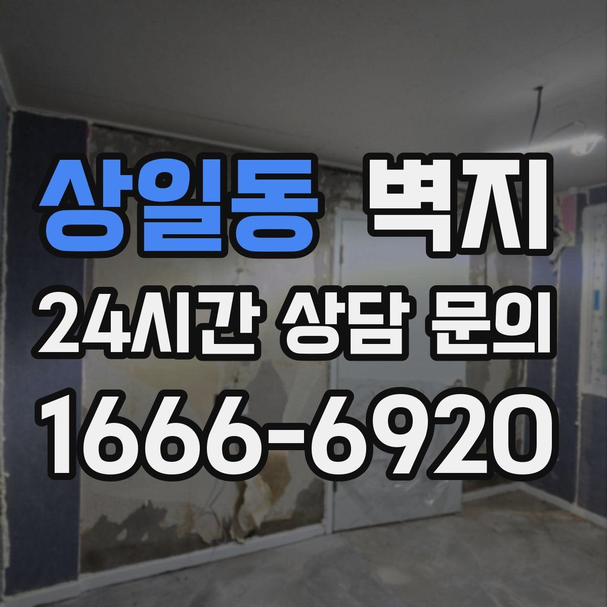 상일동 벽지