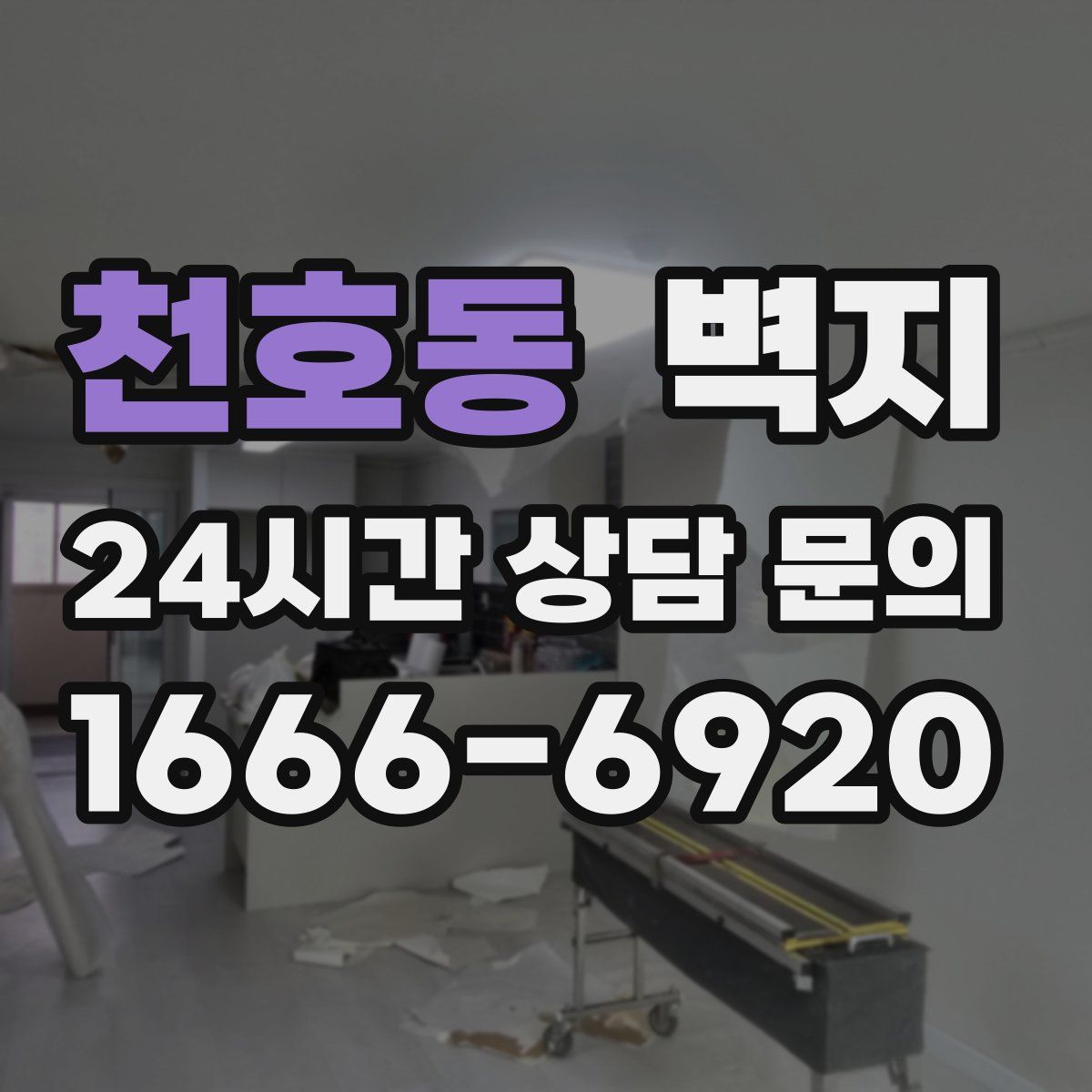 천호동 벽지
