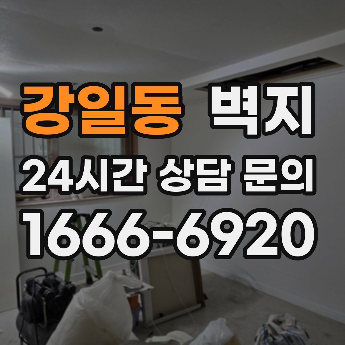 강일동 벽지