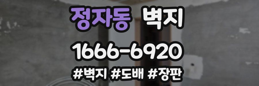 정자동 벽지