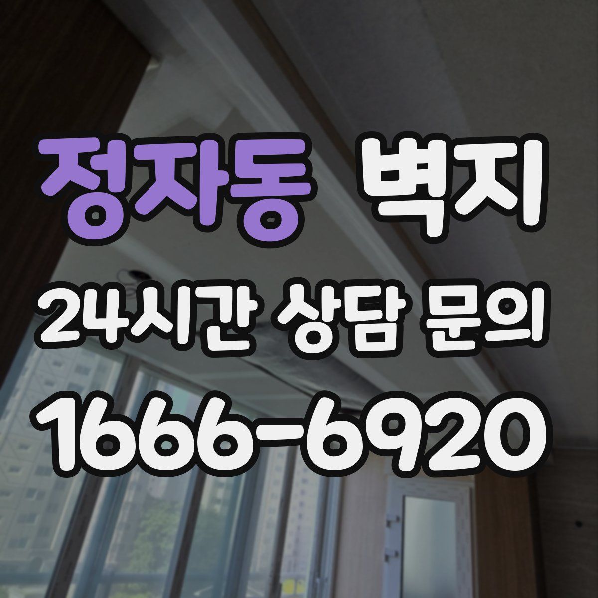 정자동 벽지