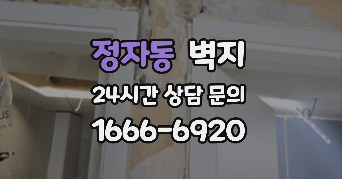 정자동 벽지