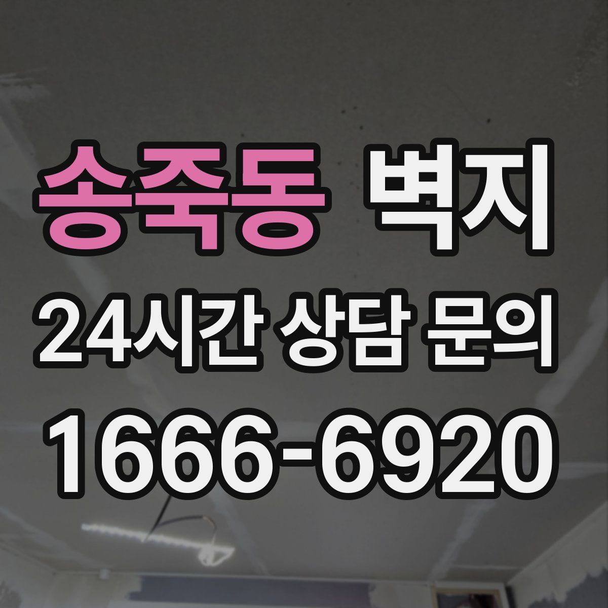 송죽동 벽지