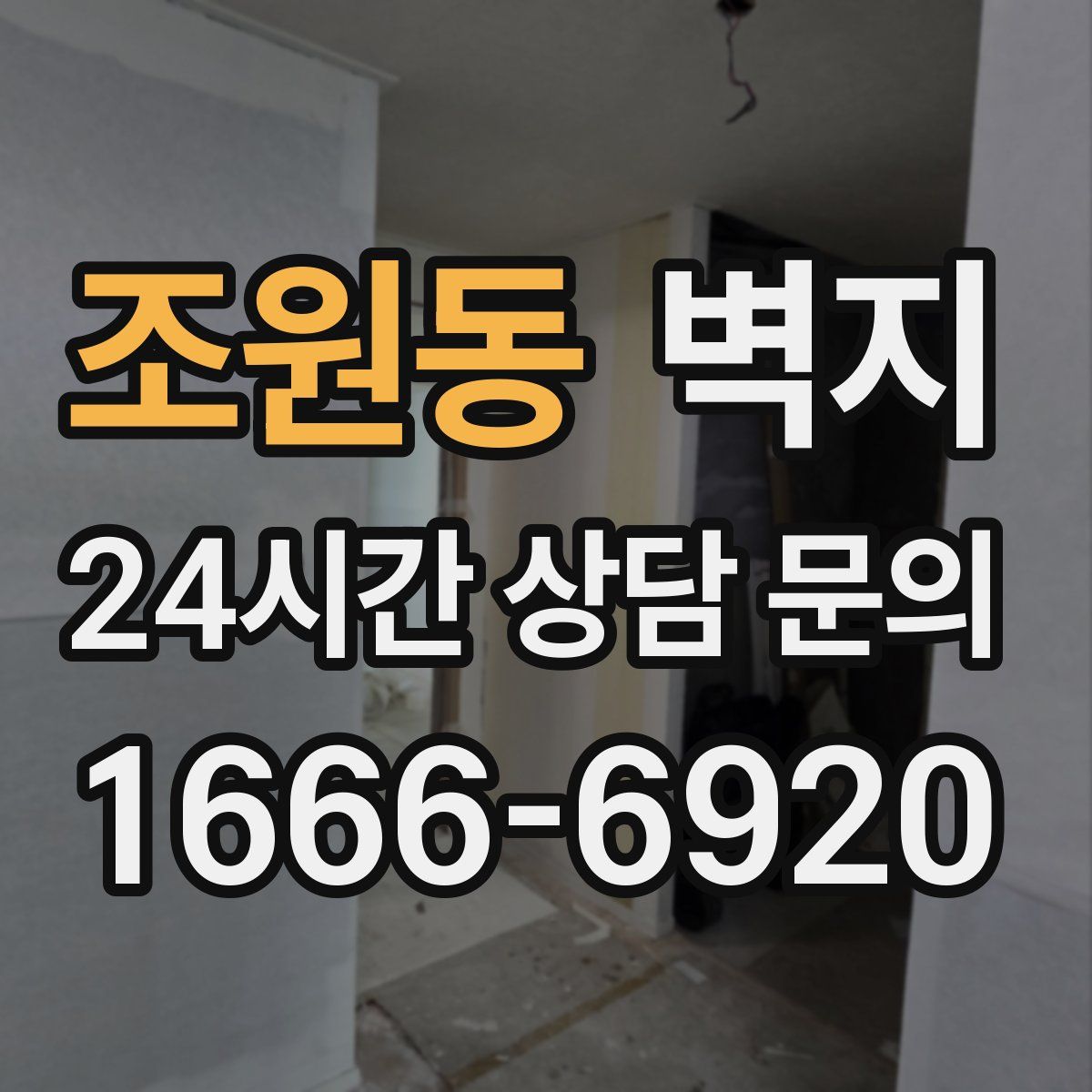 조원동 벽지