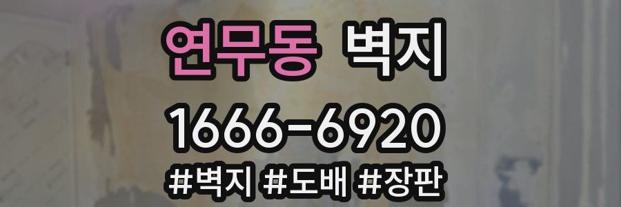 연무동 벽지