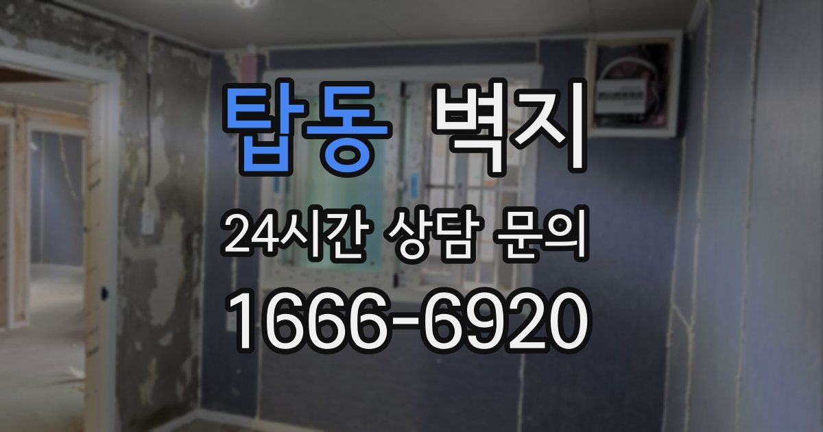 탑동 벽지