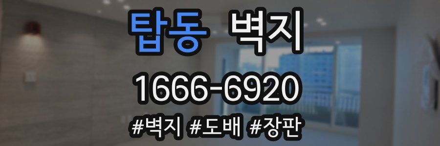 탑동 벽지