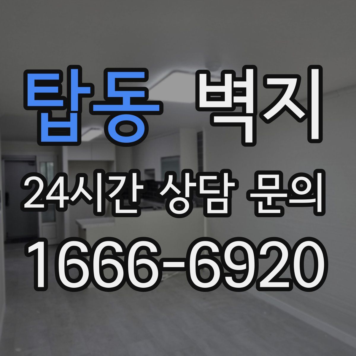 탑동 벽지