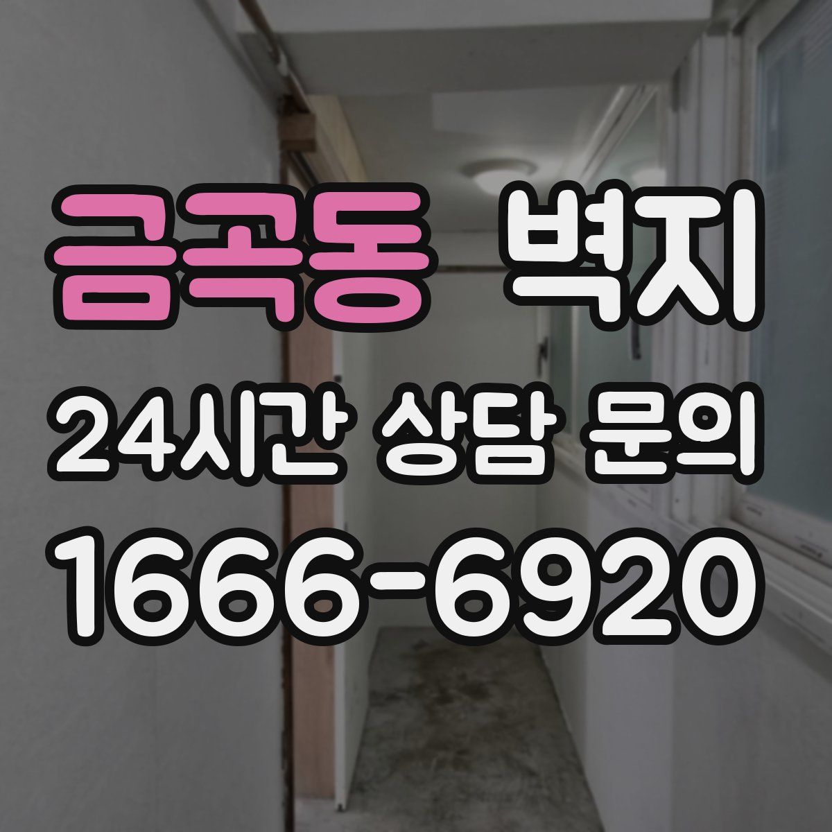 금곡동 벽지