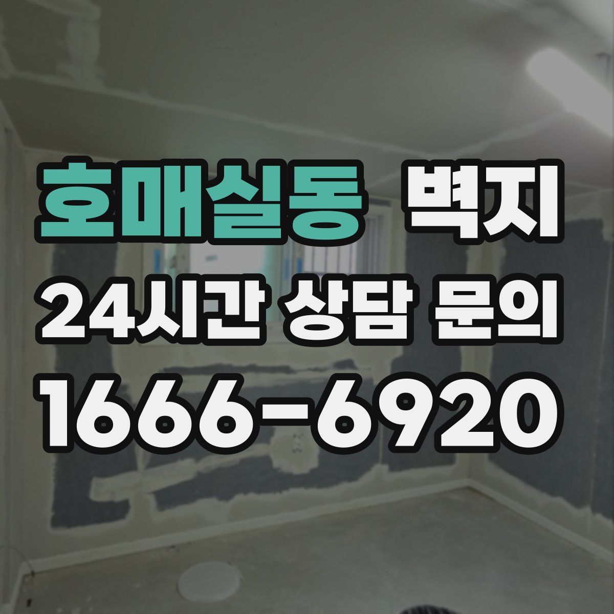 호매실동 벽지