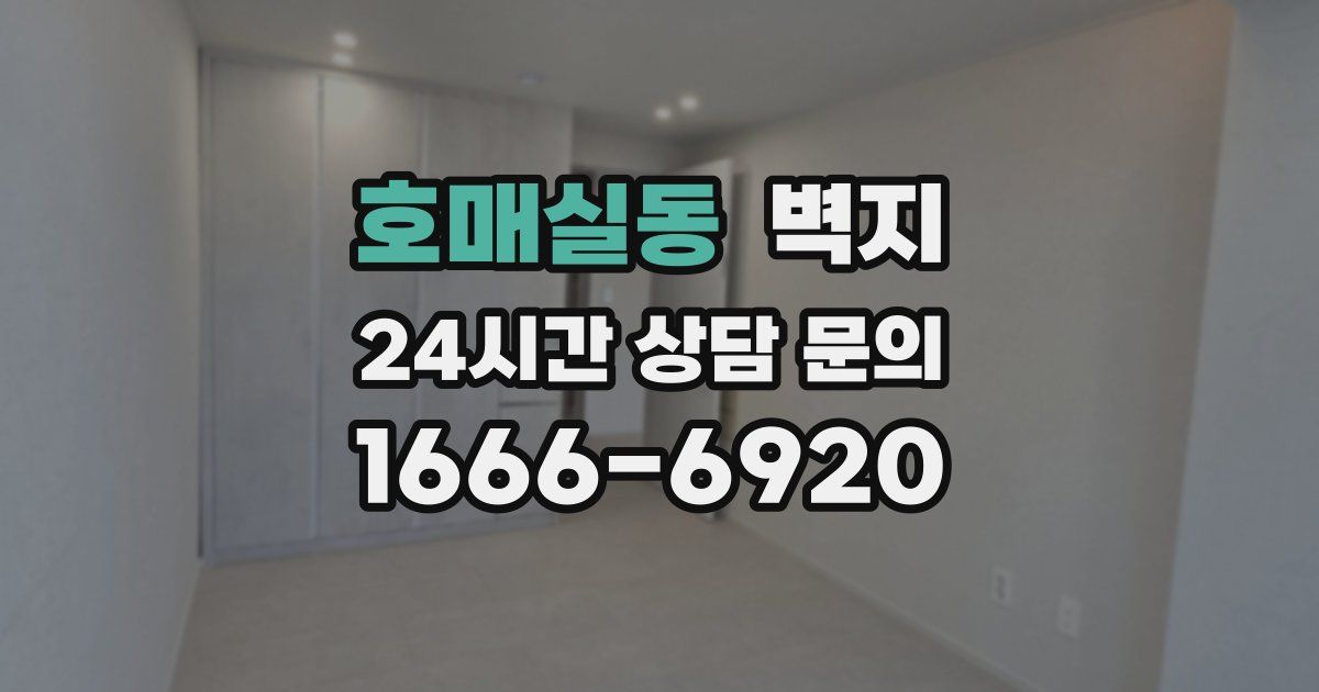 호매실동 벽지