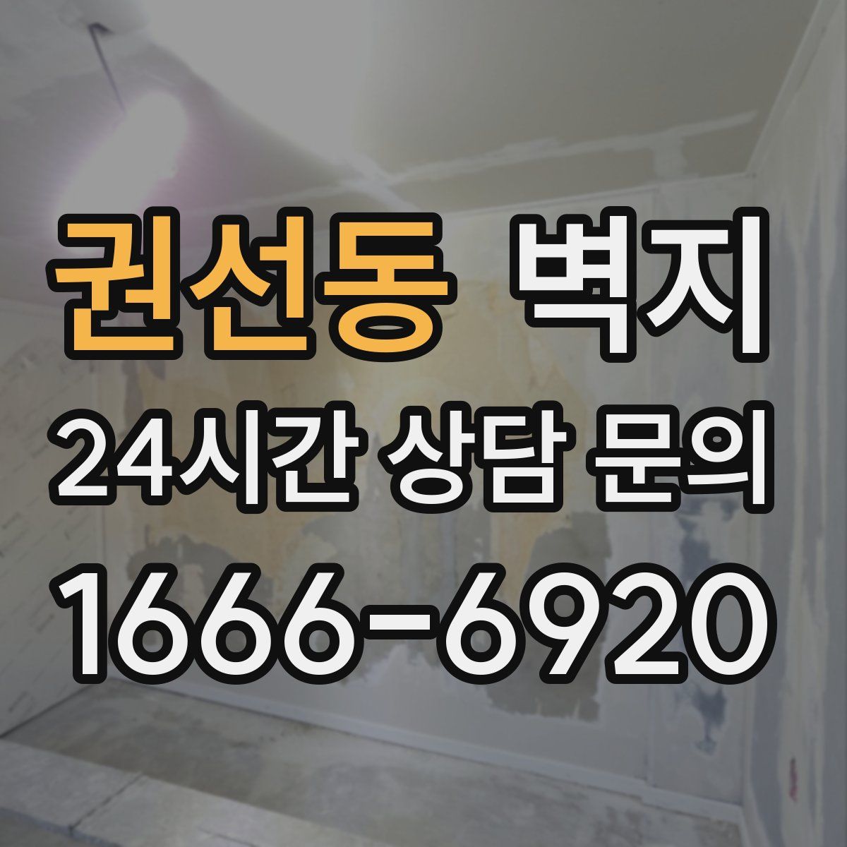 권선동 벽지