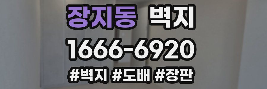 장지동 벽지