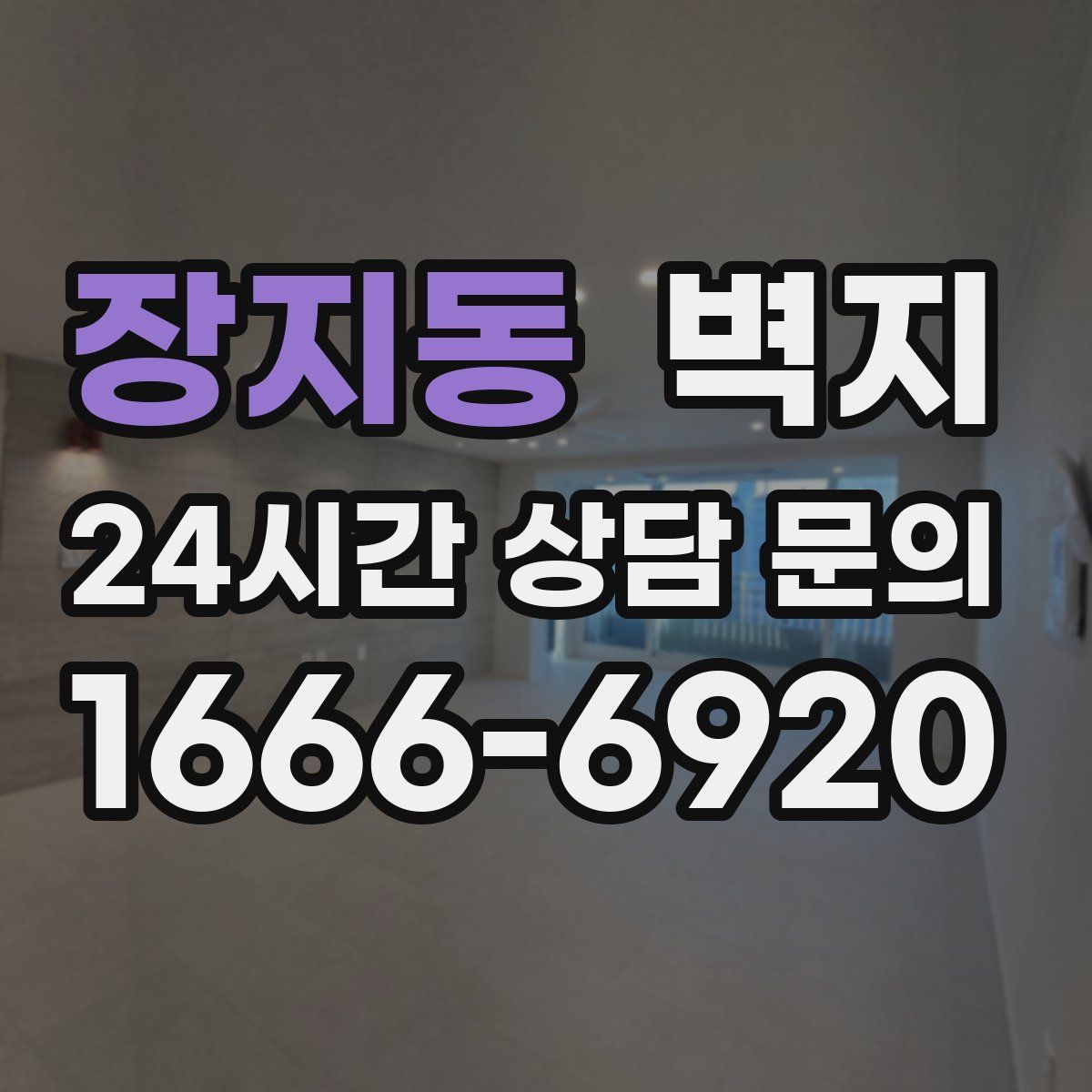 장지동 벽지