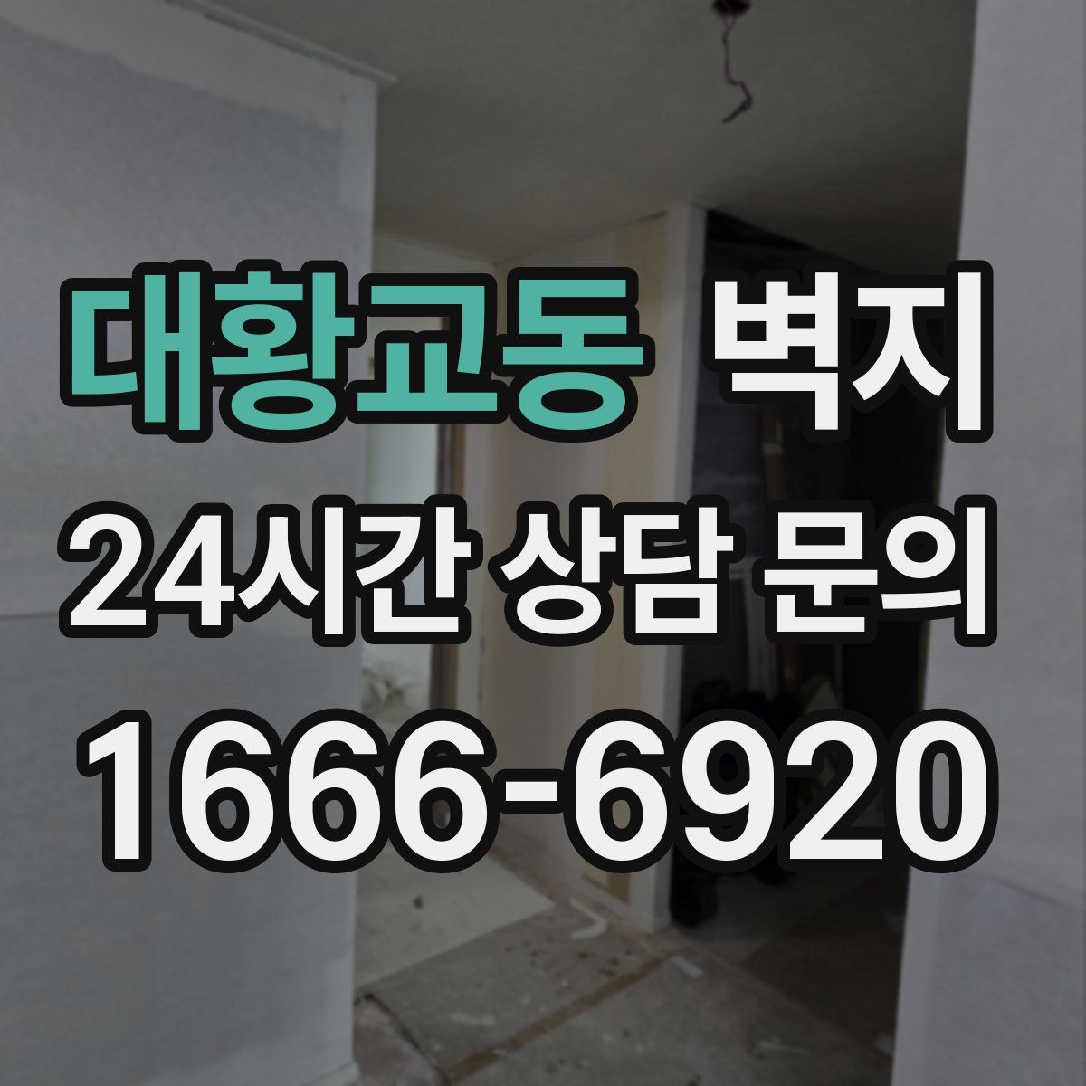 대황교동 벽지