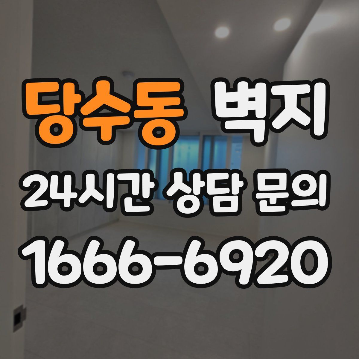 당수동 벽지