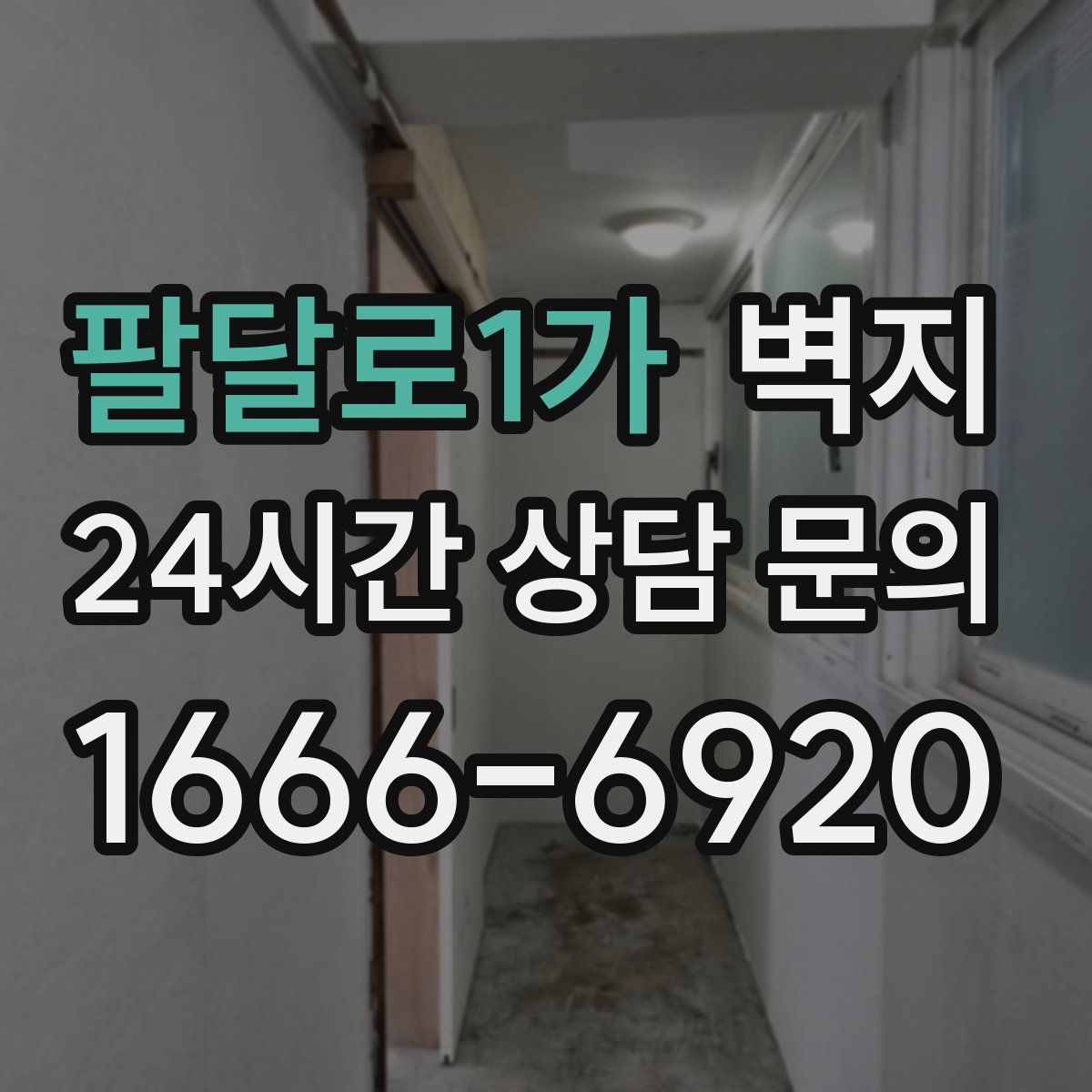 팔달로1가 벽지