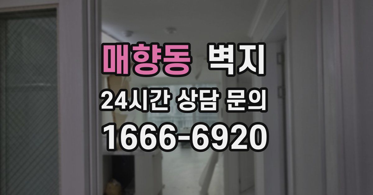 매향동 벽지