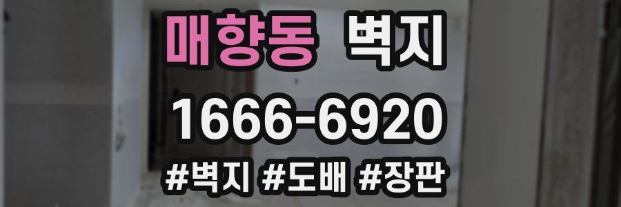 매향동 벽지